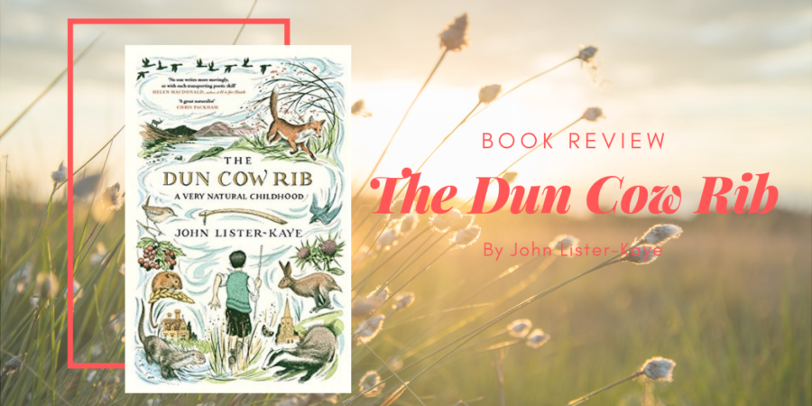 The Dun Cow Rib by John Lister-Kaye