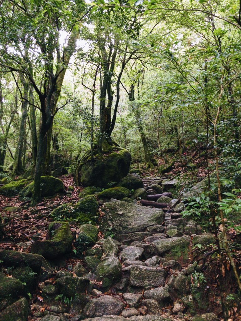 Shiratani Unsuikyo Path