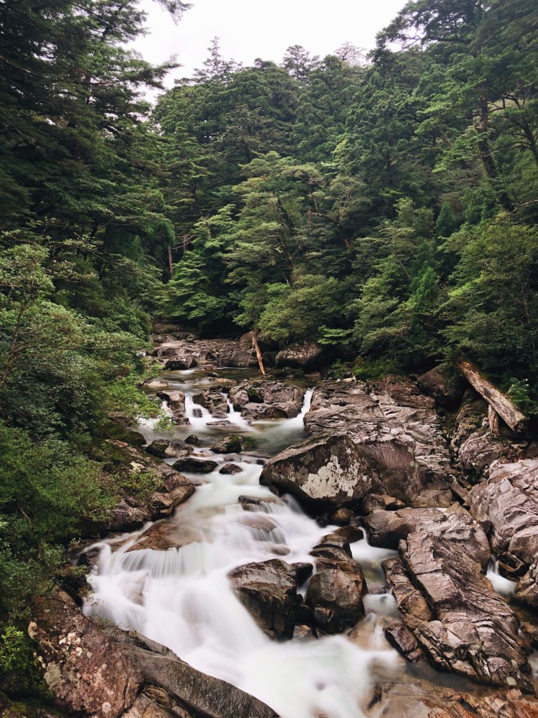 Yakusugi Land River