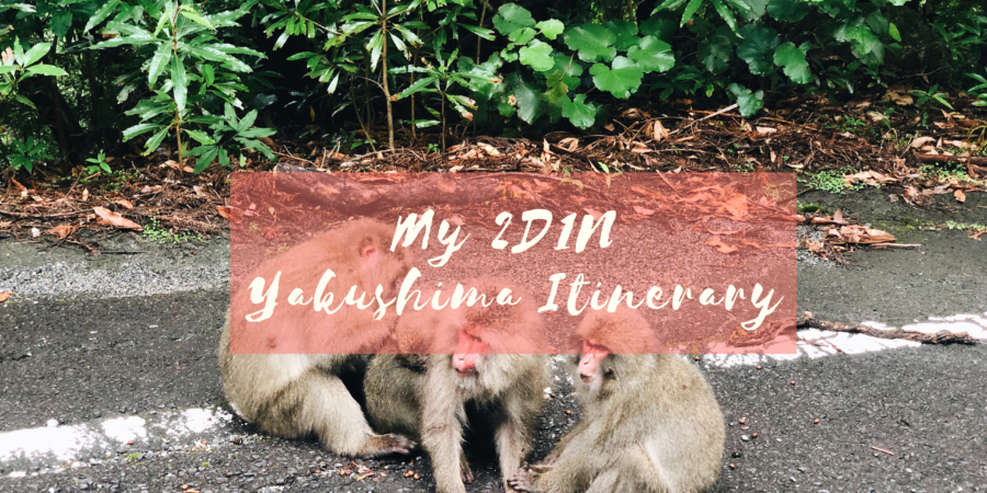 2D1N Yakushima Itinerary