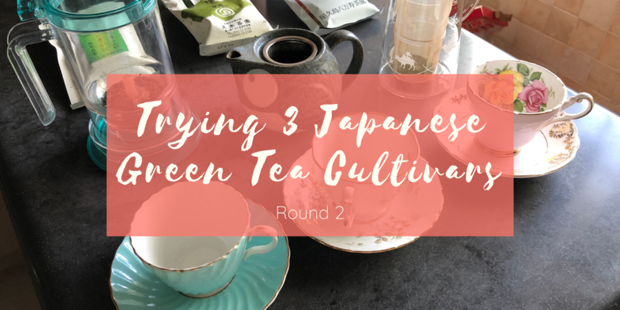 Trying Japanese Green Tea Cultivars Round 2