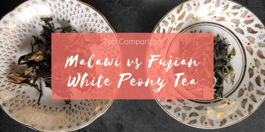 Malawi White Peony vs Fujian White Peony