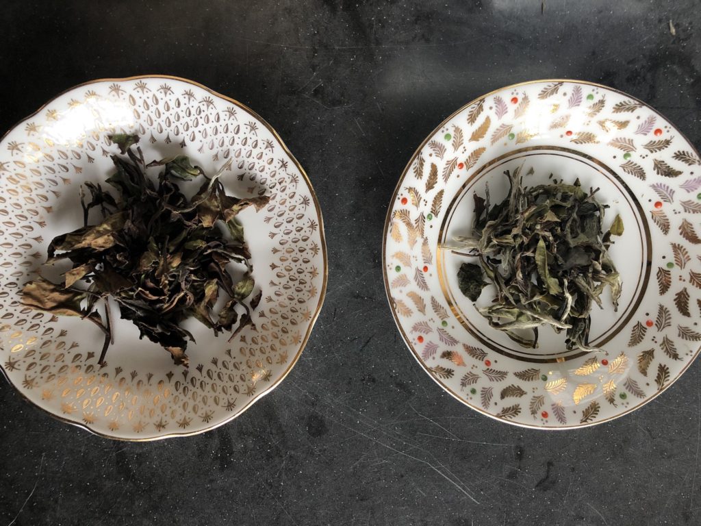 Peony White Tea Dry Leaves