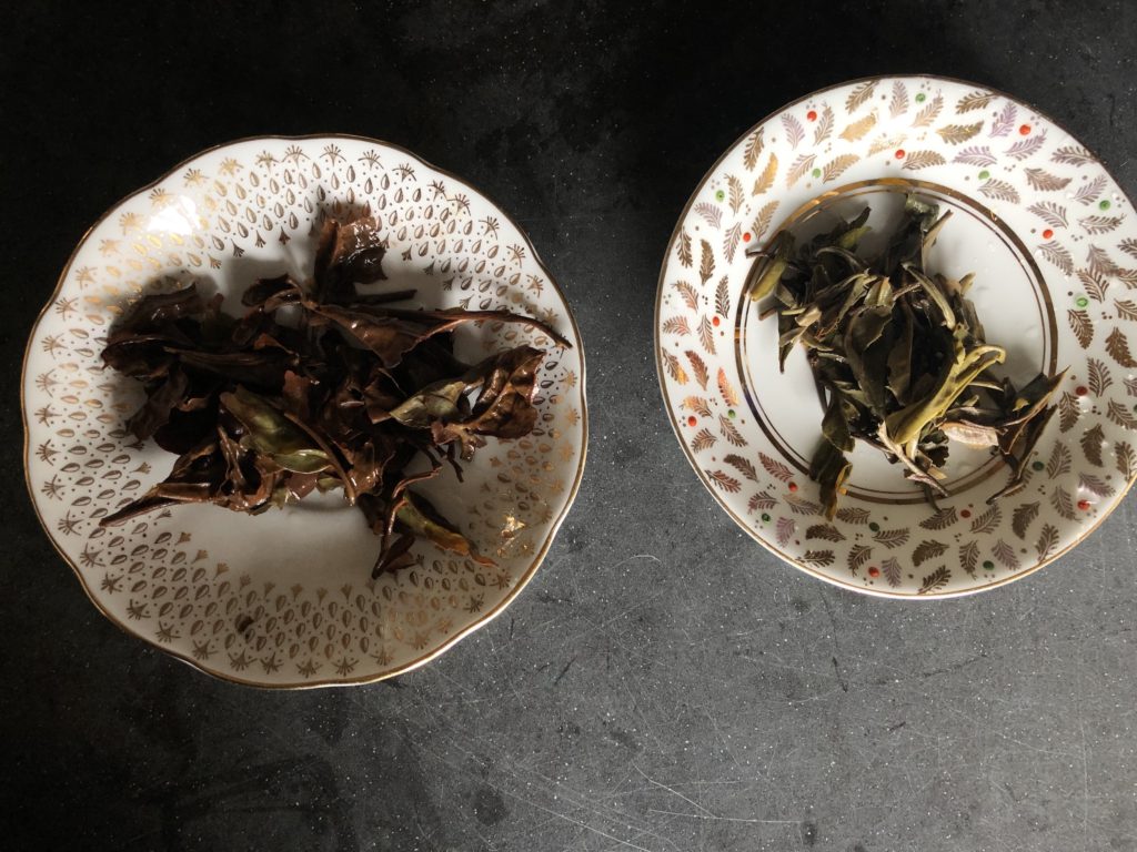 Peony White Tea Spent Leaves Comparison