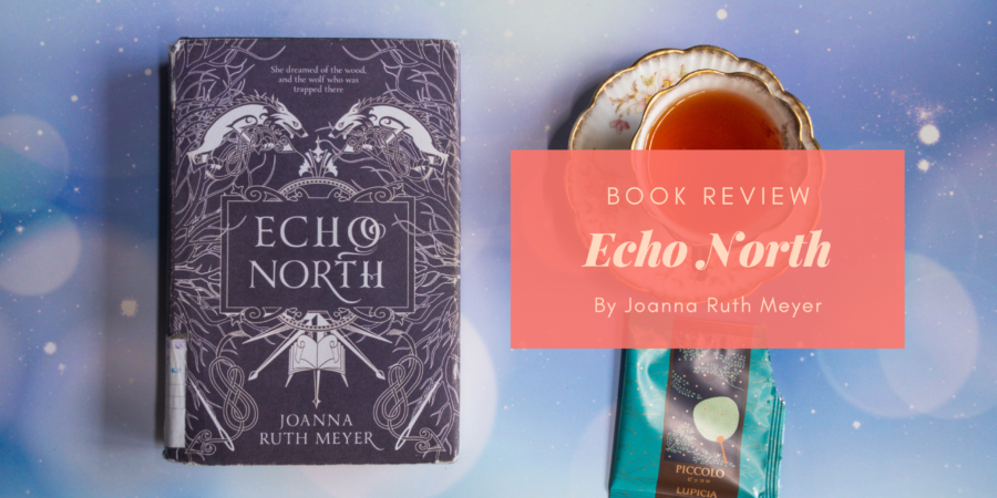 Echo North by Joanna Ruth Meyer
