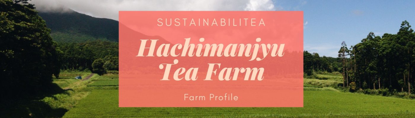 hachimanjyu tea sustainable