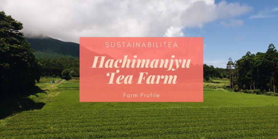 hachimanjyu tea sustainable