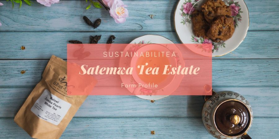 Satemwa Tea Estate Sustainability