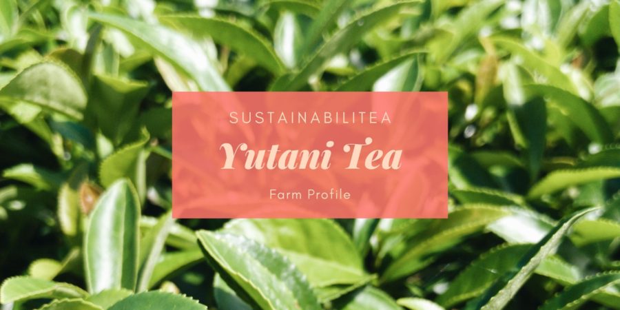 SustainabiliTEA Yutani Tea