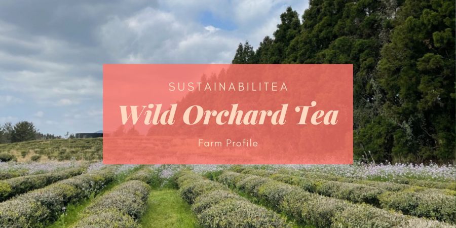 Wild Orchard Tea Sustainability