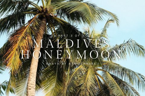Maldives Raaya by Atmosphere Review